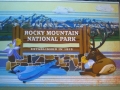 RMNP elk & bluebird