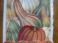Squash