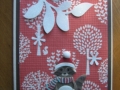 Racoon