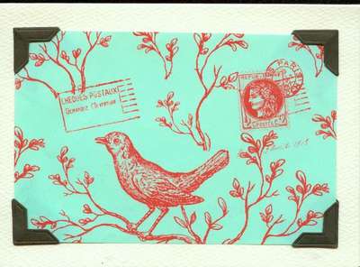 Red bird on turquoise