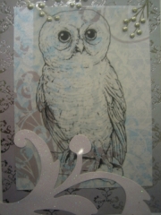 snow owl in outline