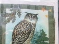 owl and pines