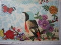 Bright bird with butterfly