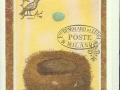 Nest and egg