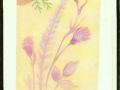 Nest with vellum