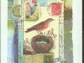 Bird and nest collage