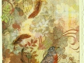 Robin collage