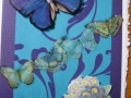 blue butterfly on blue paper