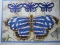 large blue with smaller butterflies