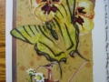 swallottail and watering can