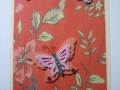 coral butterfly