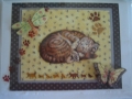 sleeping cat, pawprint paper