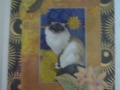 celestial cat