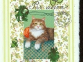 orange and white cat on lime colors