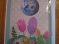Spring flowers equinox
