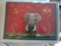 Photo on red animal paper