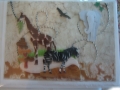 Elephant with giraffes