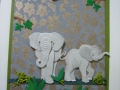 Young elephants