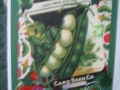 Garden - pole beans