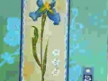 Turquoise iris