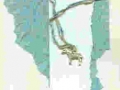 turquoise_white_sheep