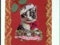 christmas_cat
