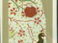 oriental_cat