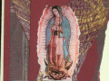 Guadalupe on plum paper