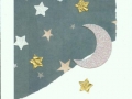 shoot-for-the-moon001